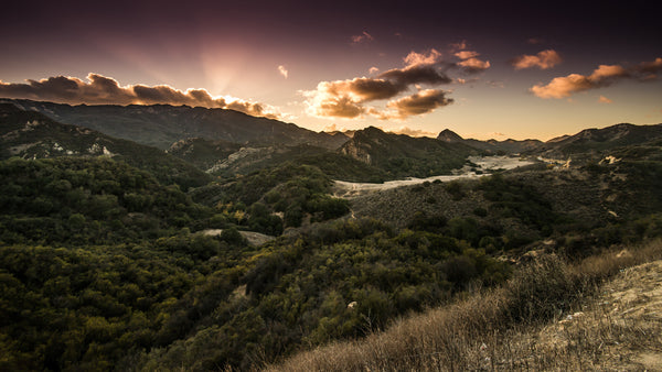 Hiking High: Best Trails in LA